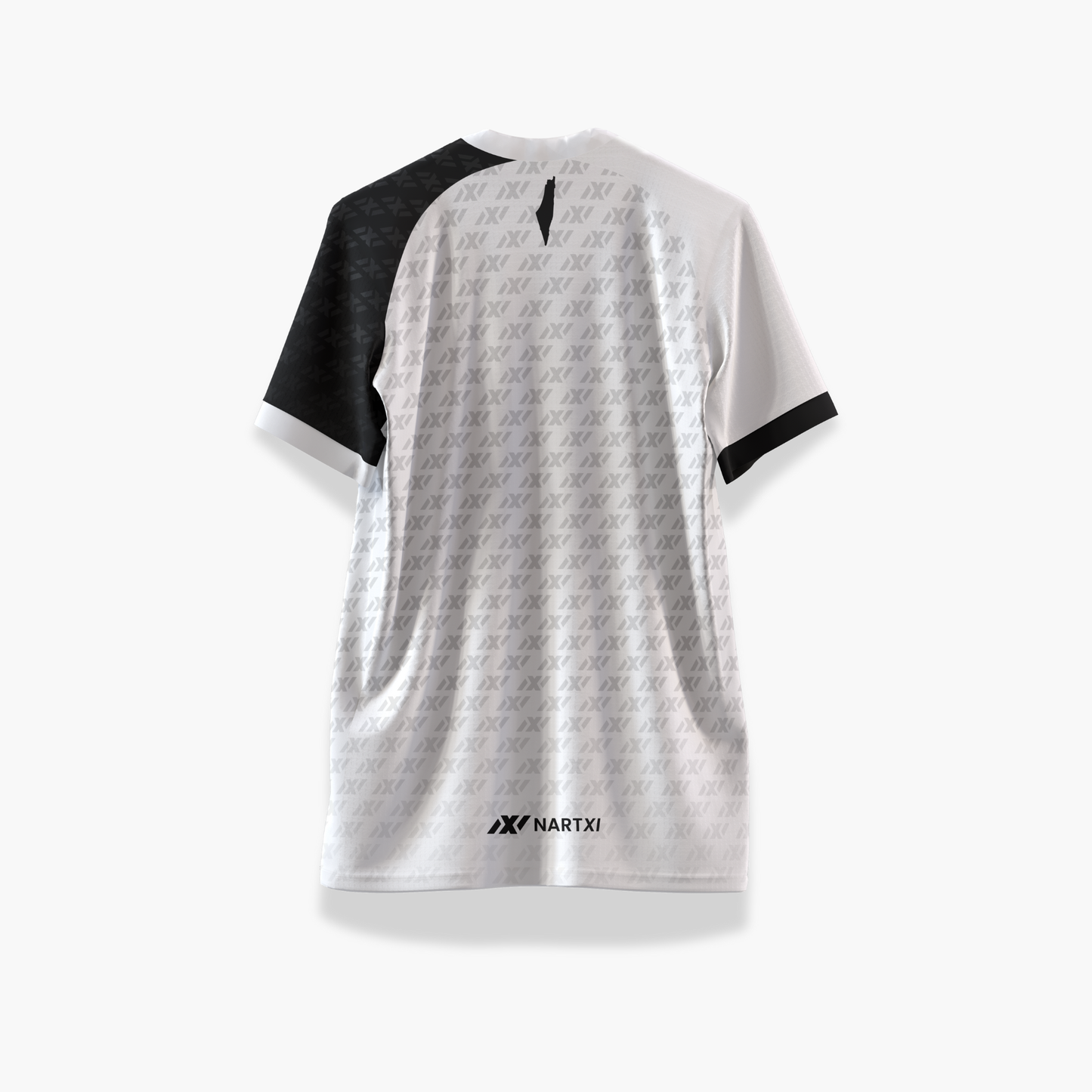 NARTXI PALESTINE JERSEY
